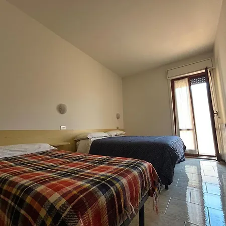 Fraternitas - Assisi *